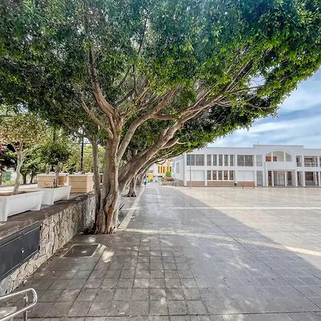 Apartamento Piso De 3 En *